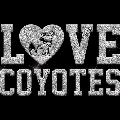 GLT51 SILVER GLITTER Thumbnail