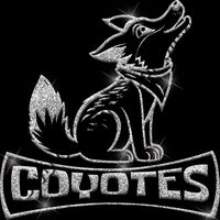 GLT94 SILVER GLITTER Thumbnail