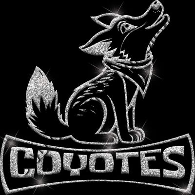 GLT94 SILVER GLITTER Thumbnail